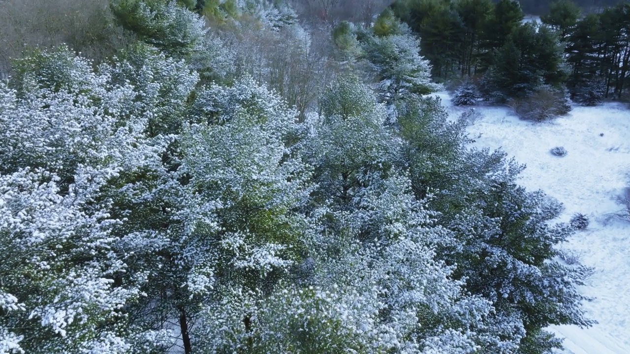 一架无人机的视角揭示了中西部森林的冬季魅力，在一场重大暴风雪之后，森林被雪覆盖。视频素材