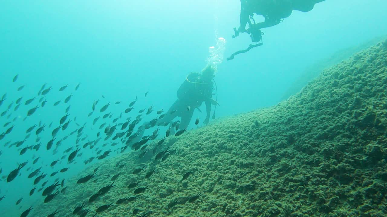 一对潜水员在海里尽情潜水。水下图像。视频素材