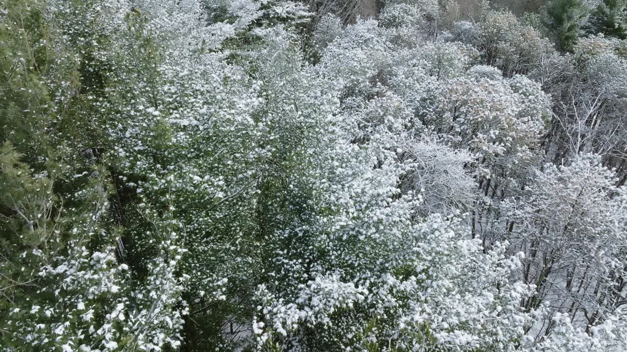 无人机拍摄的航空图像展示了暴风雪后覆盖着原始积雪的中西部林地。视频素材