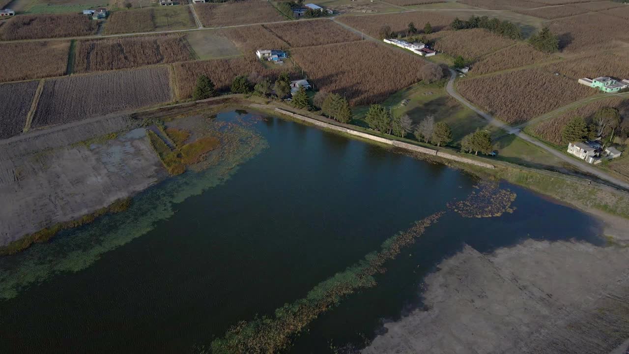 在墨西哥阿尔莫罗亚州的一个小湿地上，海岸上有藻类，周围是干旱的作物。视频素材