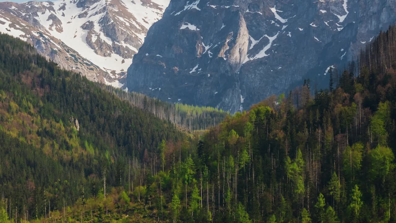 群山延时，雪峰青山覆盖着松树在风中摇曳，阳光照射，移动的影子视频素材