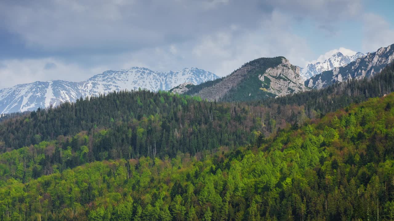 群山延时，雪峰青山覆盖着松树在风中摇曳，阳光照射，移动的影子视频素材