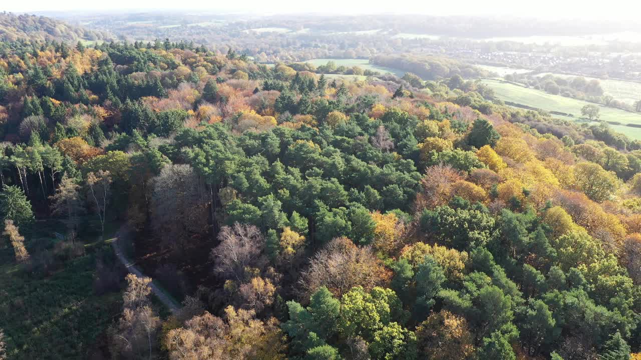 英格兰萨里郡的查特里伍德吉尔福德视频素材