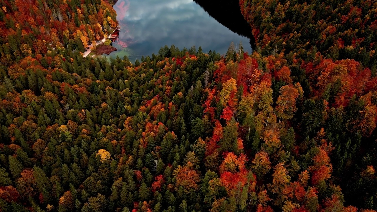 在一个阴天，无人机在奥地利秋天的森林环绕的山谷中飞过托普利茨湖。视频素材