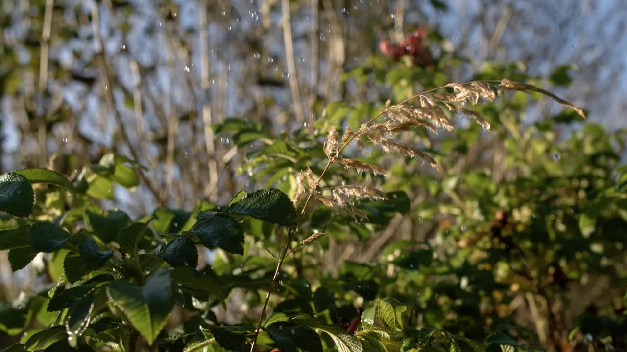 雨滴以超级慢动作落下。视频素材