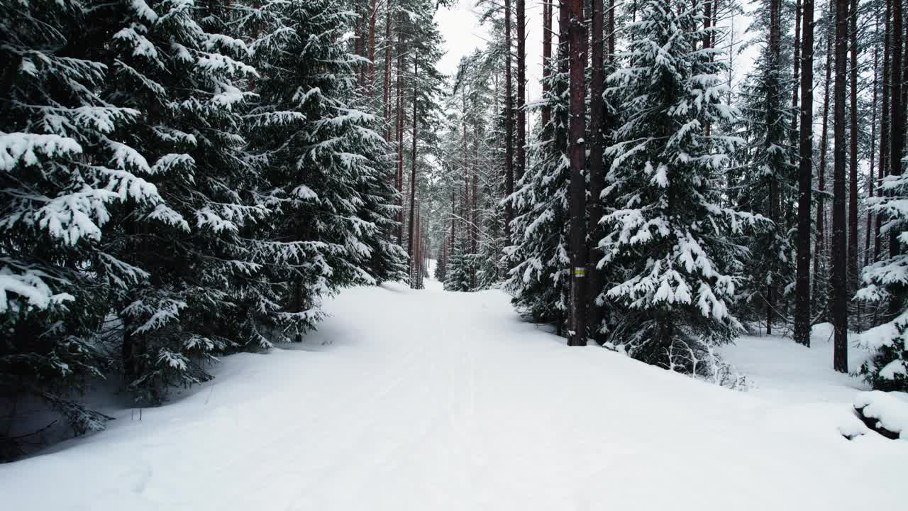 无人机拍摄的冬季森林有很多雪视频素材