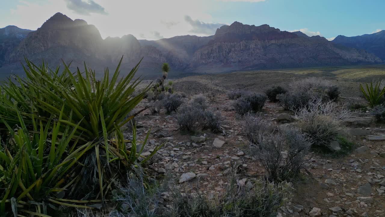 红岩峡谷的美丽景色，拉斯维加斯，内华达州视频素材