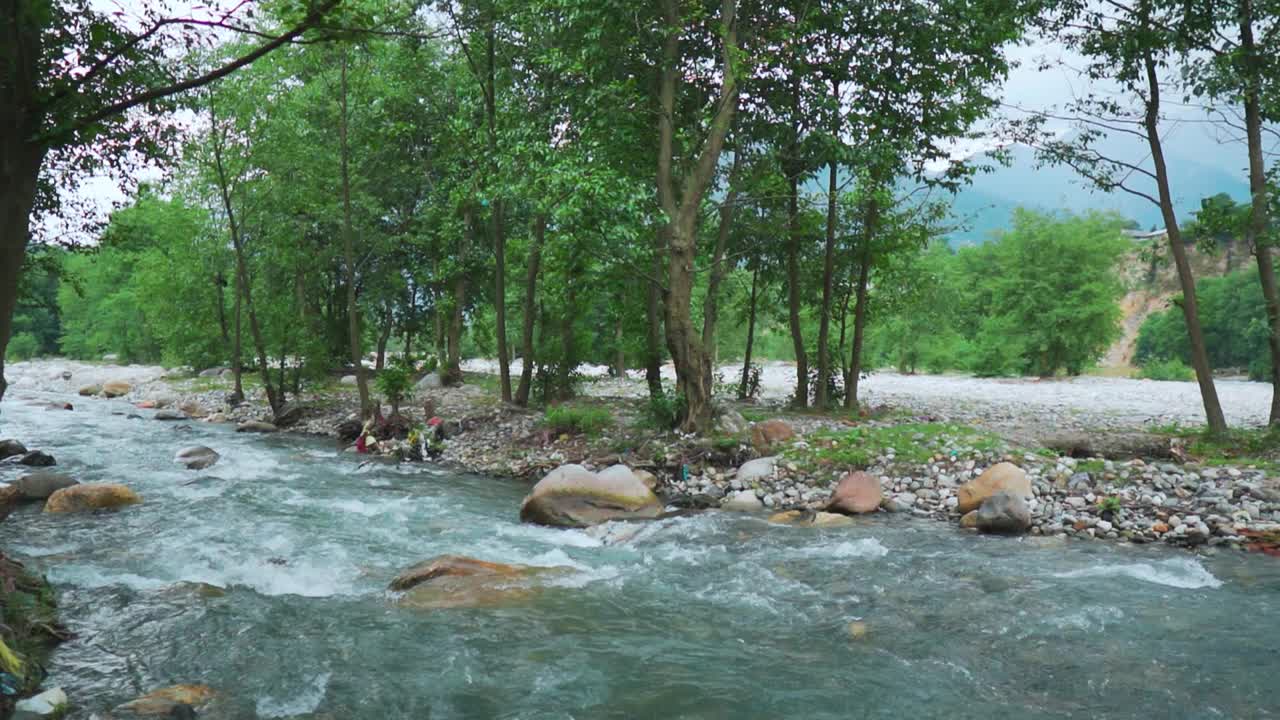 印度马纳利，碧鱼河流经绿色树林的风景。森林河流景观。宁静的自然背景。视频素材