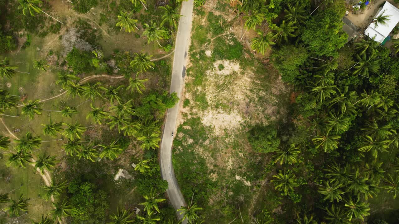 泰国苏梅岛空中俯瞰狭窄的道路，穿过绿色的天然棕榈树丛林，沿着热带天堂的风景旅游路线视频素材