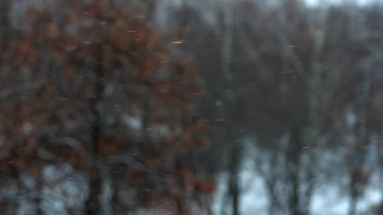 多云的冬夜里的暴风雪。关注雪。视频素材