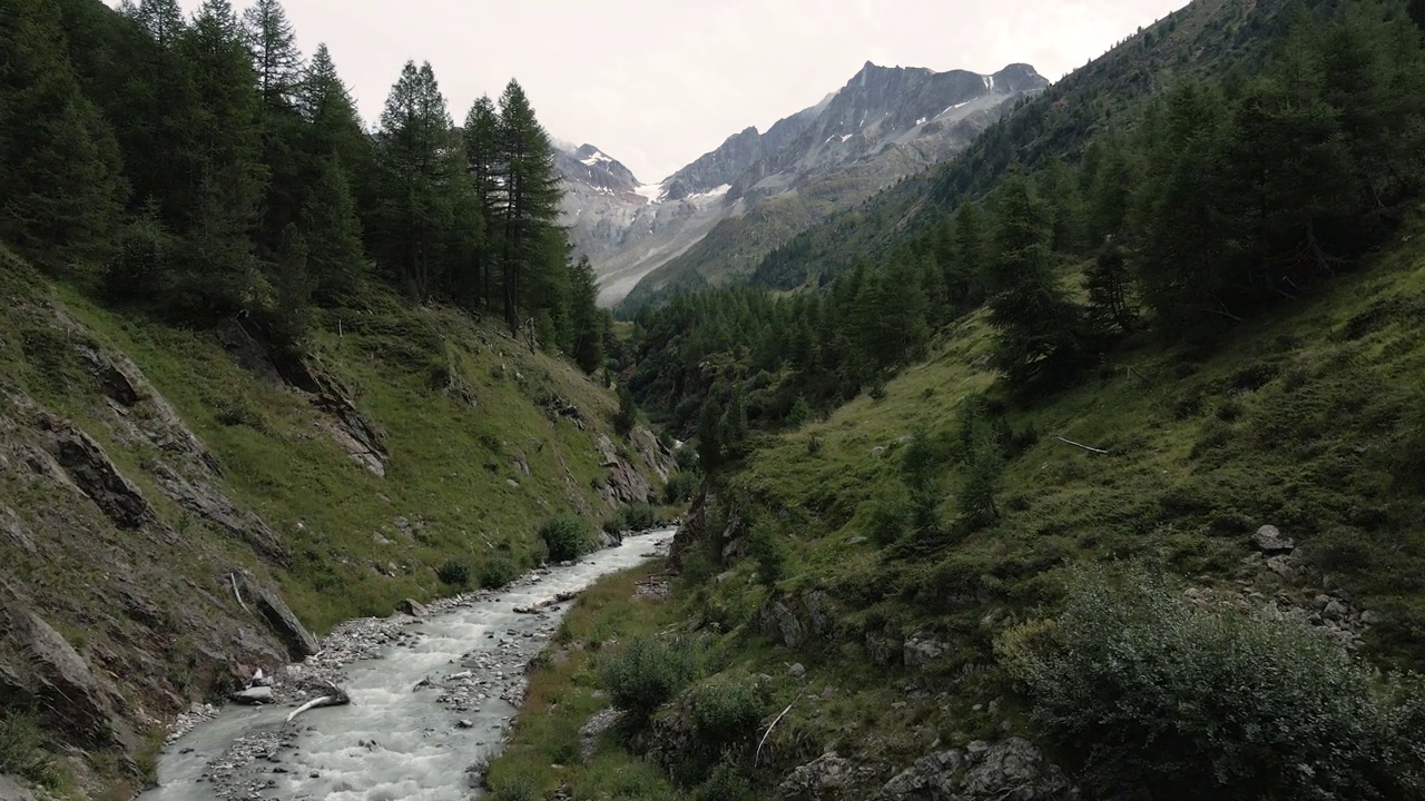 无人驾驶飞机在松树环绕的白色高山河流上飞行- Val Nera Livigno视频素材