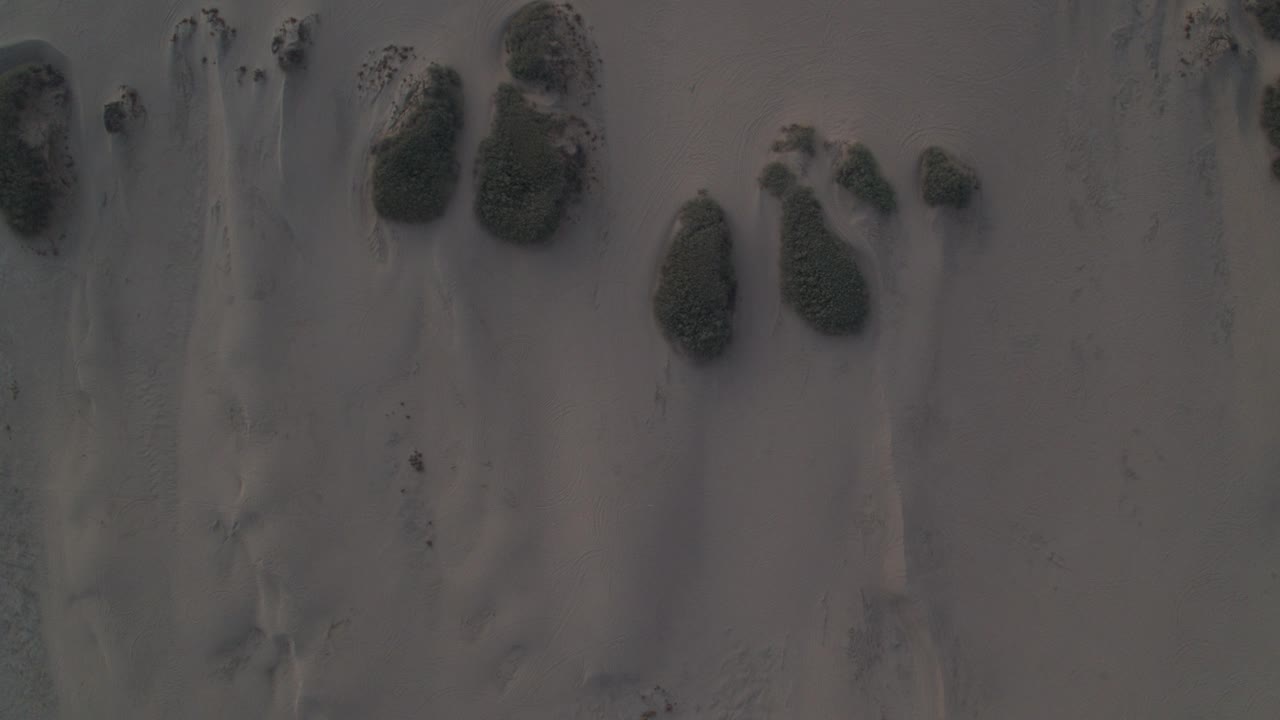 黄昏时加利福尼亚约翰逊谷沙漠的沙丘和灌木丛的俯视图视频下载