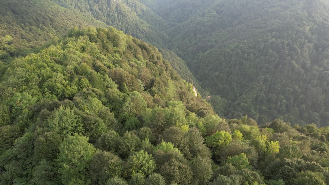 空中森林，大自然视频素材