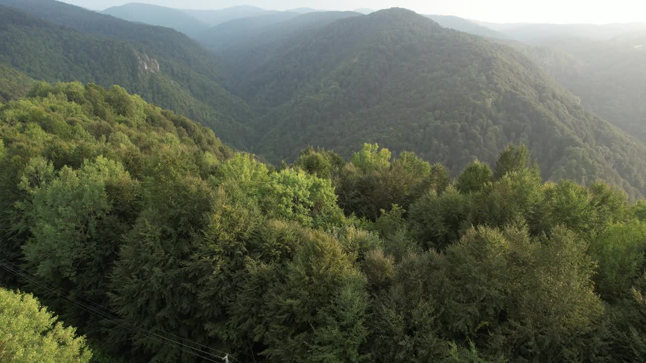 空中森林和山谷视频素材