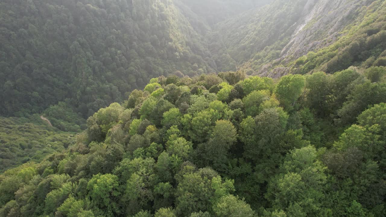 空中森林和山谷视频素材