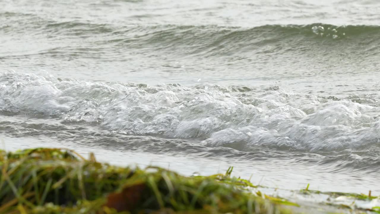 带着海藻的泡沫海浪冲击着海岸线。视频素材