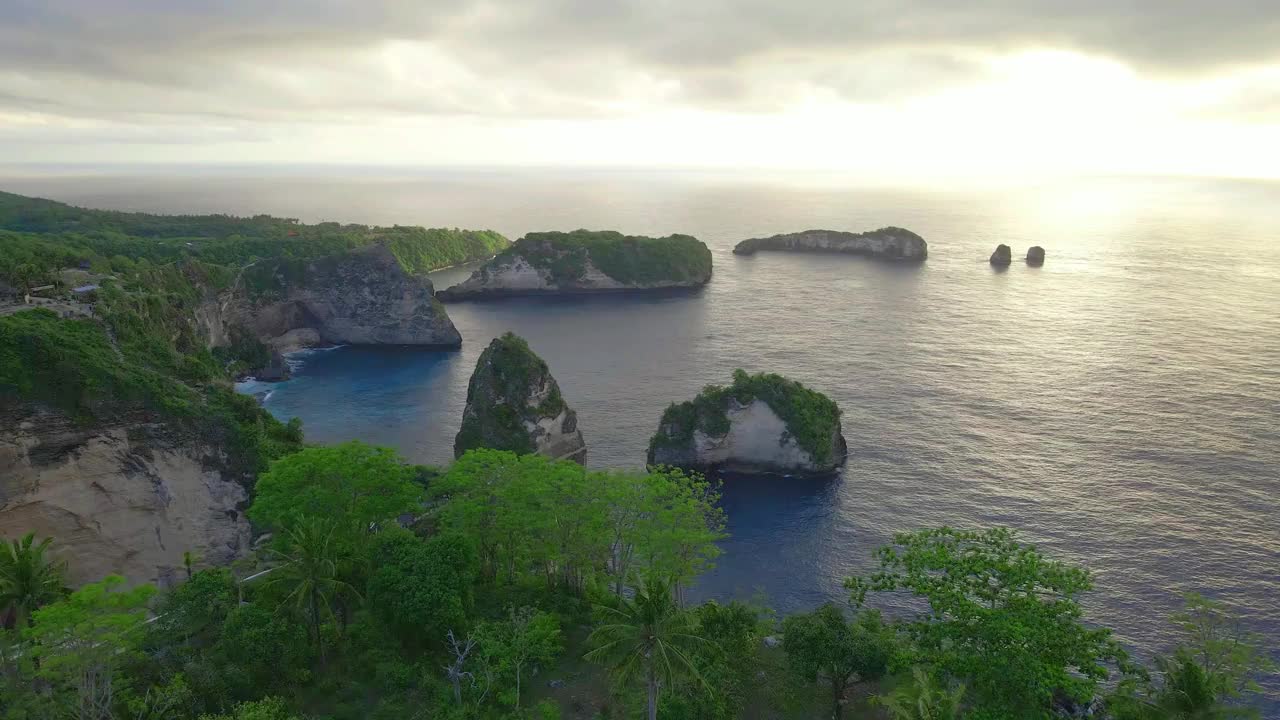 热带海滩，用无人机拍摄的大海和棕榈树。视频素材