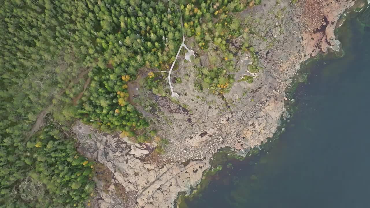 鸟瞰瑞典宁静海岸线上的冷杉秋林。视频素材