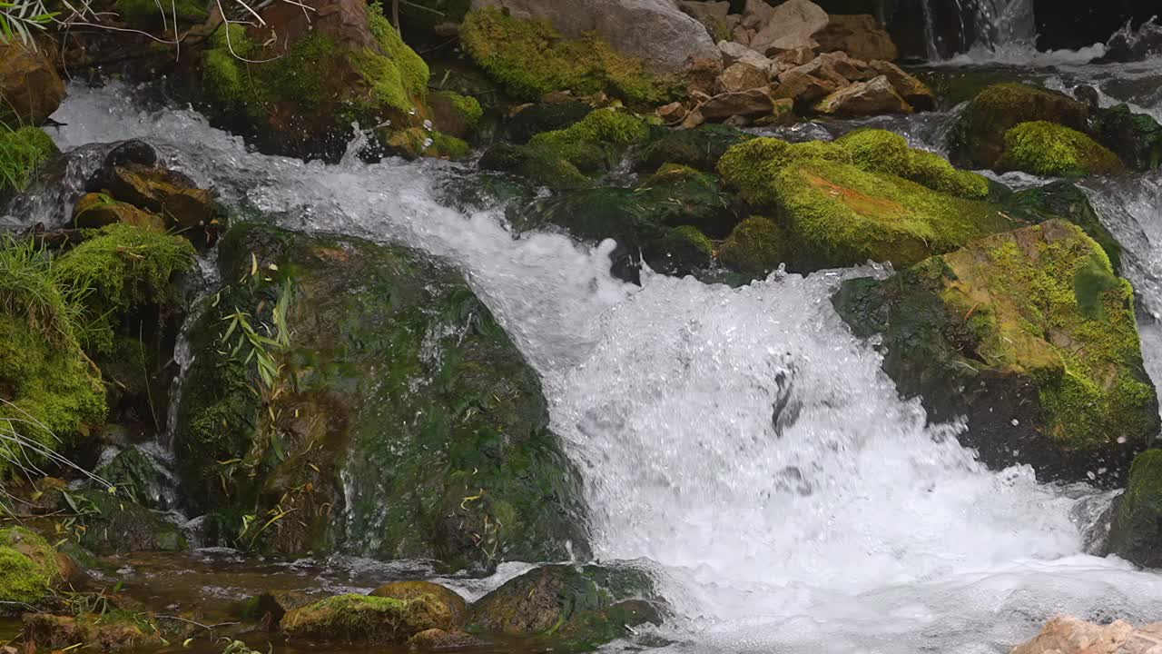 小溪溅过河中长满青苔的岩石。缩小视频素材