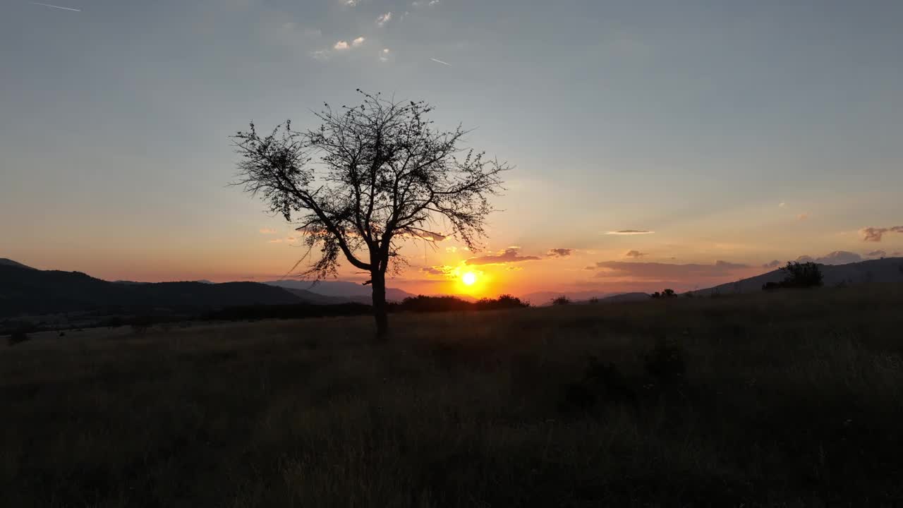 高原上一棵孤零零的树后的夕阳。用无人机拍摄大自然的电影镜头。暖色调的天空和明亮的橙色太阳是放松的时刻。视频素材