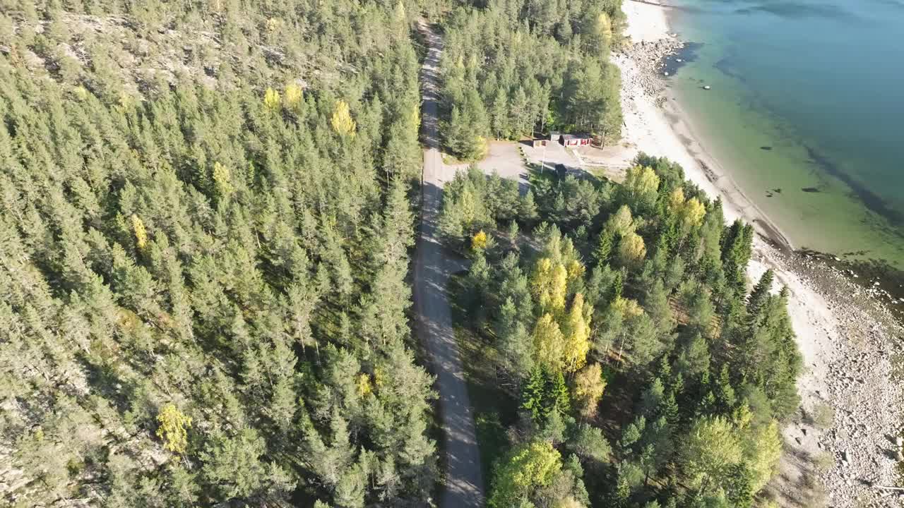 瑞典海岸线湖岸森林里浓密的秋冷杉。航空轨道拍摄视频素材