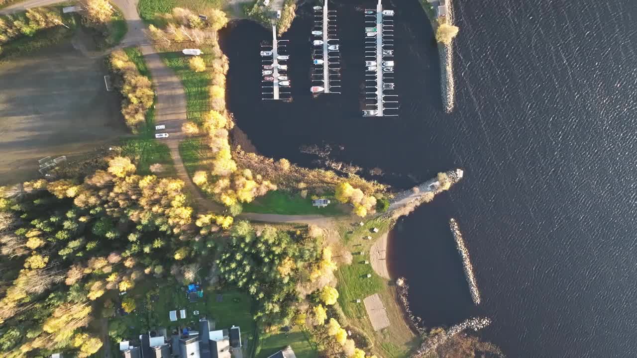 瑞典湖滨码头附近的秋叶住宅村。空中俯视图视频素材