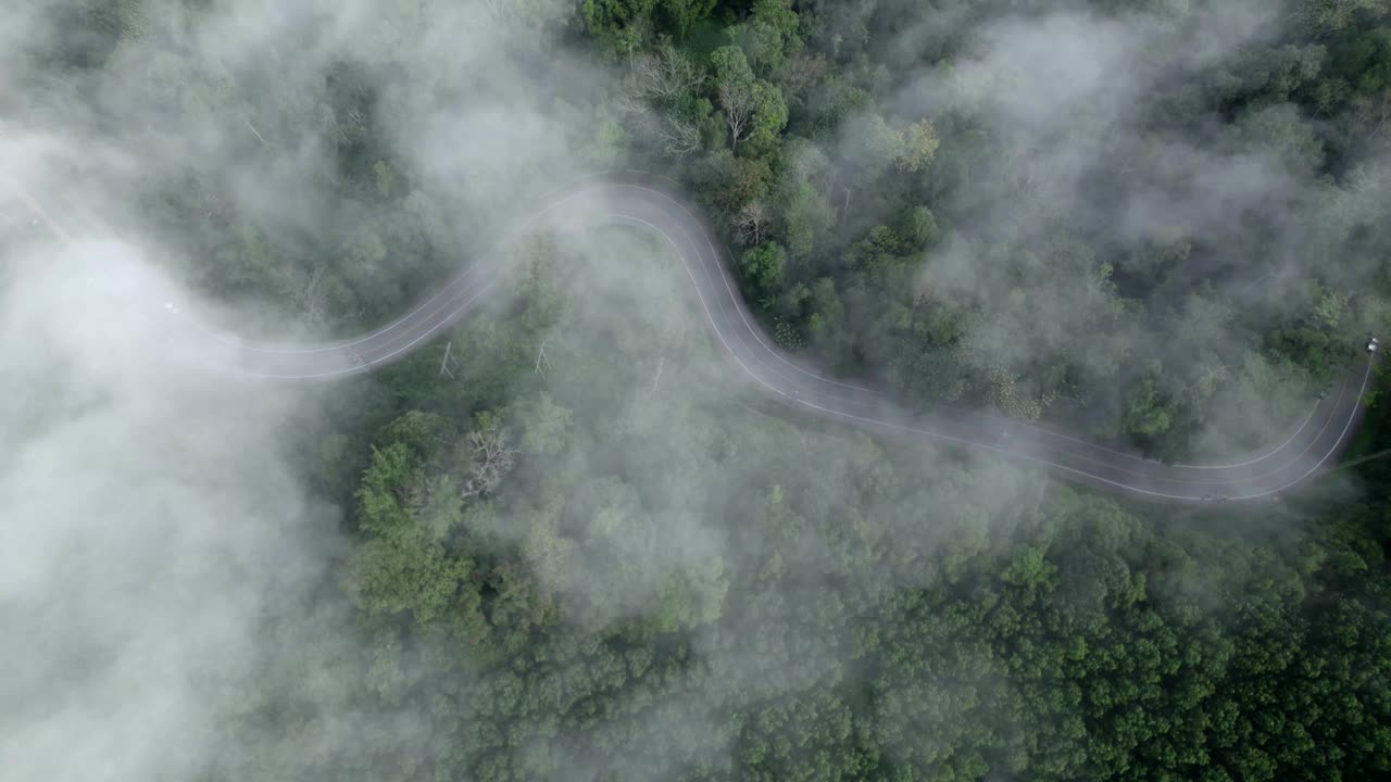 高角度的道路和树木在早晨视频素材