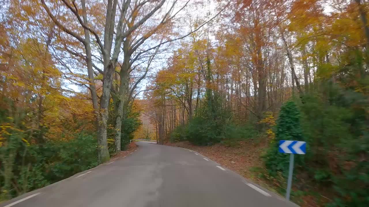 驾车，路绕森林，五彩缤纷的秋天在山林赭色，红色，橙色和黄色的干叶美丽的图像自然没有人视频素材