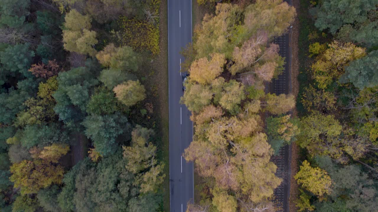 空中无人机透视图，道路穿过秋天的森林视频素材