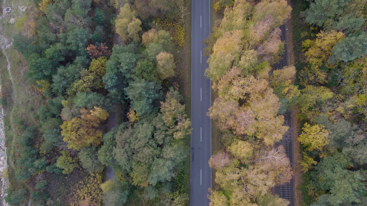 无人机俯瞰穿过秋林的道路视频素材