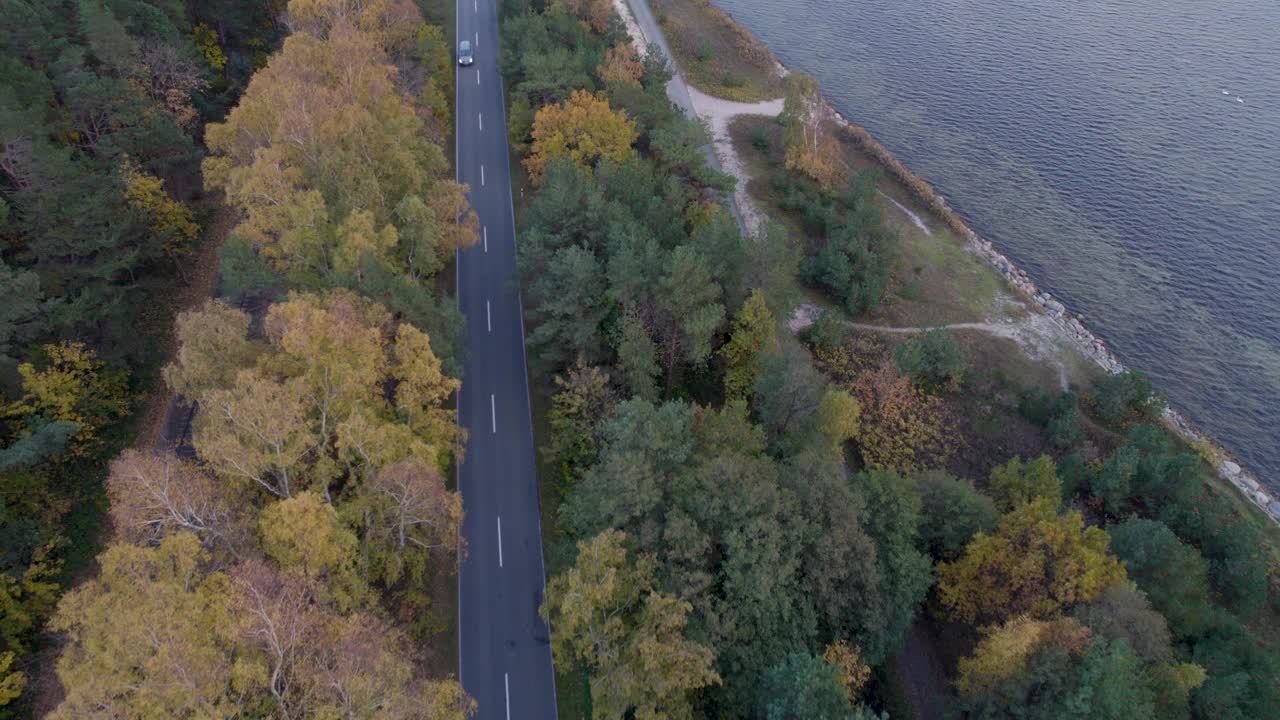 无人机拍摄的沿海道路和秋季森林视频素材