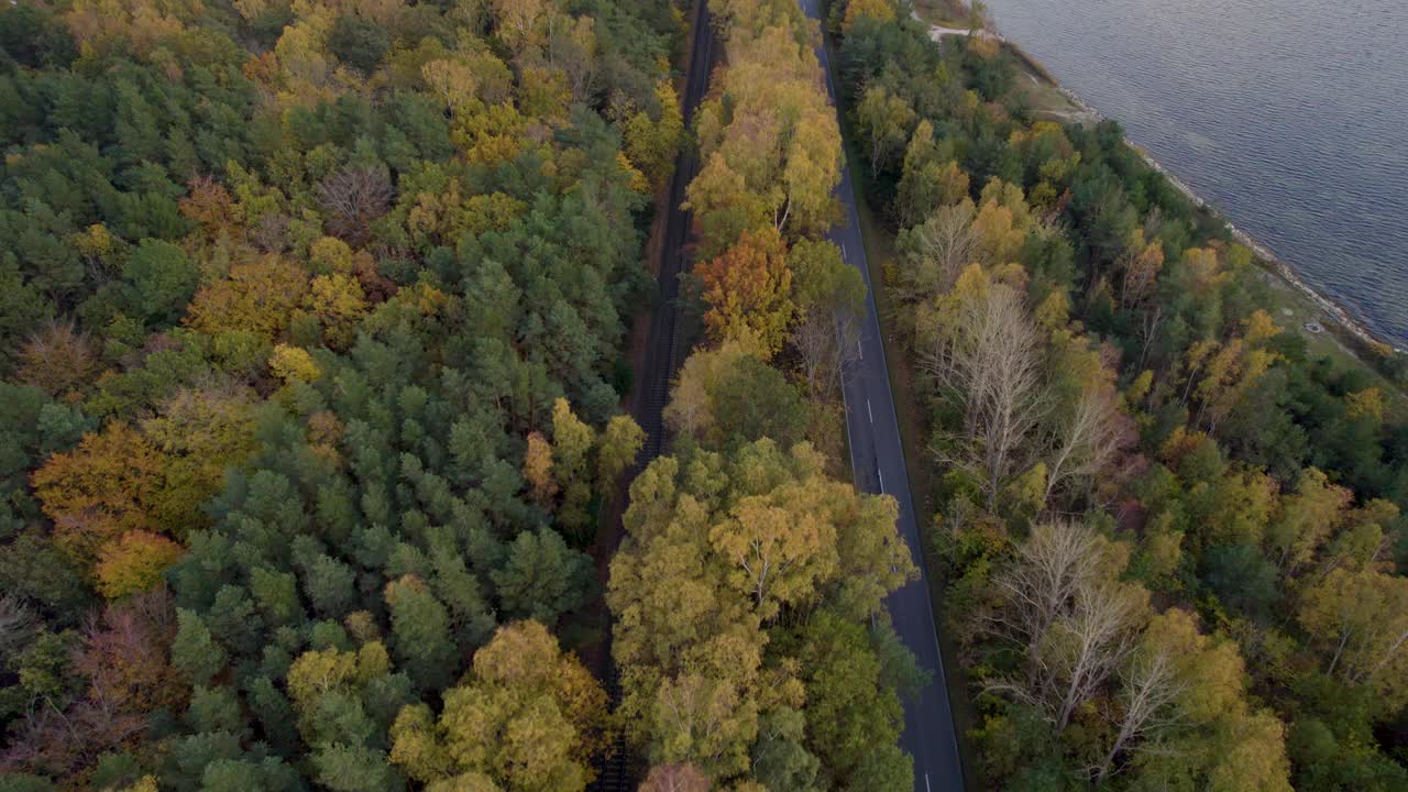 色彩缤纷的森林，沿着海岸半岛的道路，无人机的视野视频素材