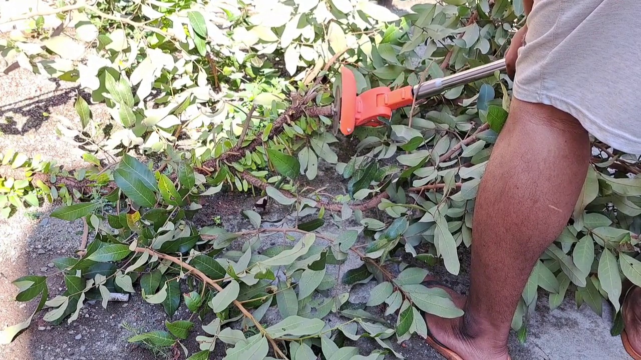 一名男子正在用木屑机切割原木，非常适合作为家庭和花园工具的宣传媒体视频下载