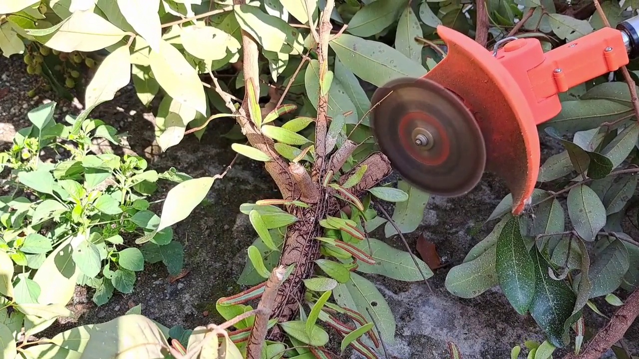 一名男子正在用木屑机切割原木，非常适合作为家庭和花园工具的宣传媒体视频下载