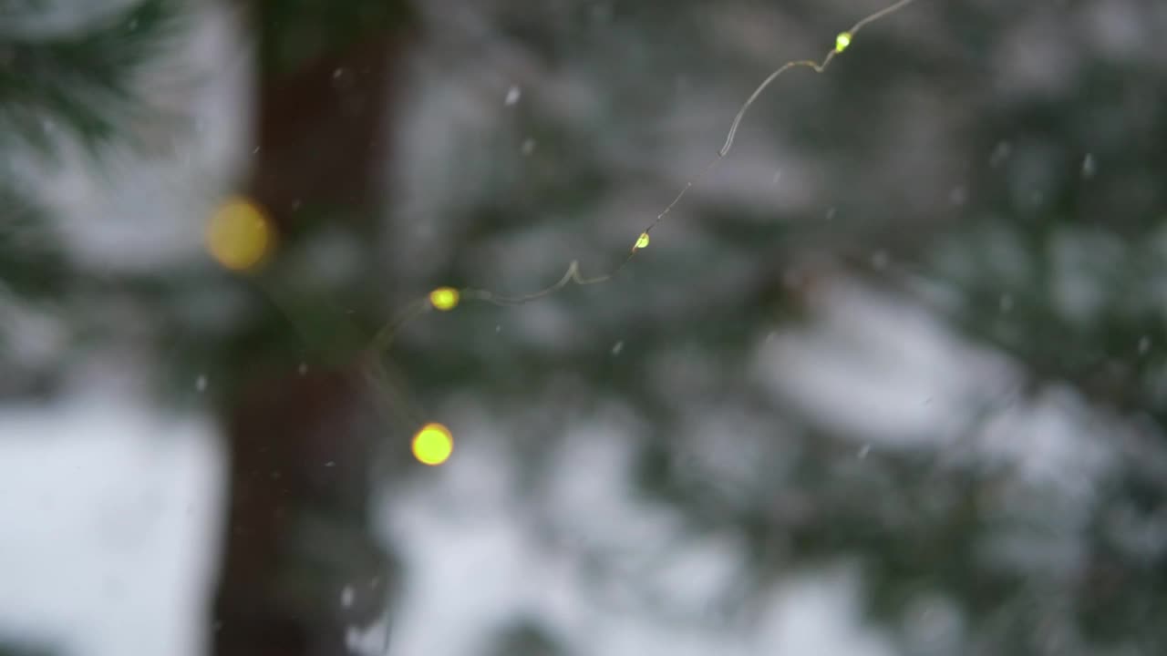 圣诞彩灯挂在常青树松树。冬天常绿的冷杉树枝和许多飘落的雪尘。降雪超级慢动作。白雪皑皑的云杉。自然背景视频片段视频素材