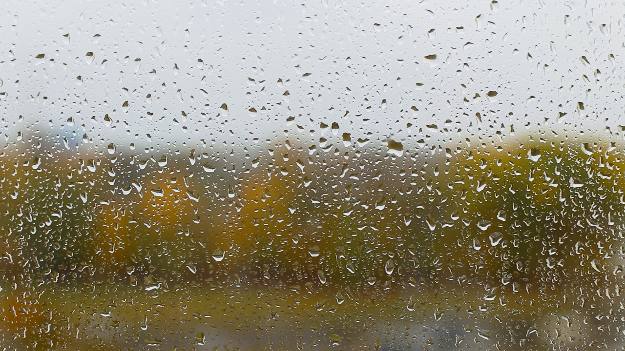 阴天里黄色森林的背景是秋天玻璃窗上的雨滴。文本的复制空间，九月视频素材