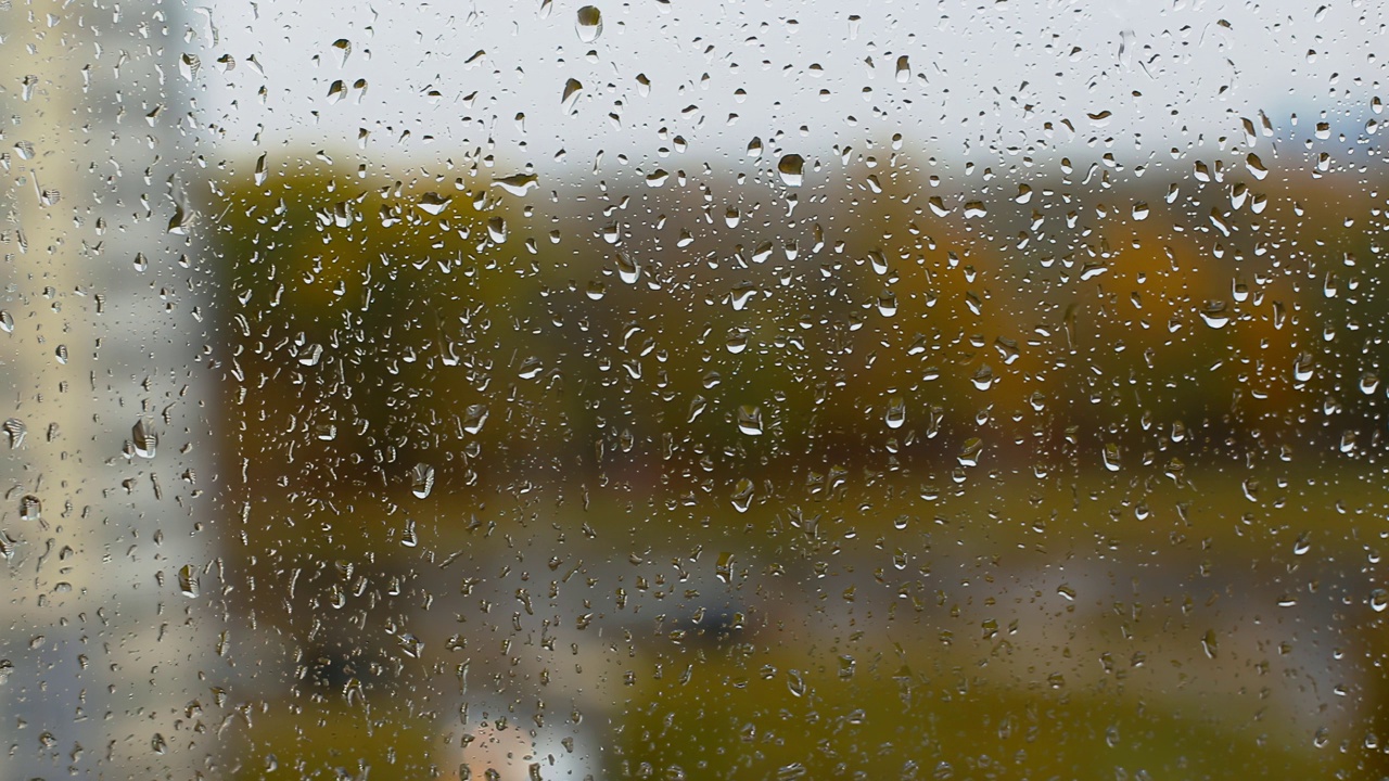 从一所房子的窗户看，雨滴在雨中落在窗户玻璃上，背景是城市里一片黄色的秋天森林。秋天结束了。阴天，文本的复制空间视频素材