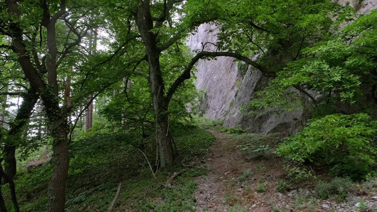 一个宁静的旅程，穿过迷人的森林，引导你到雄伟的悬崖视频素材