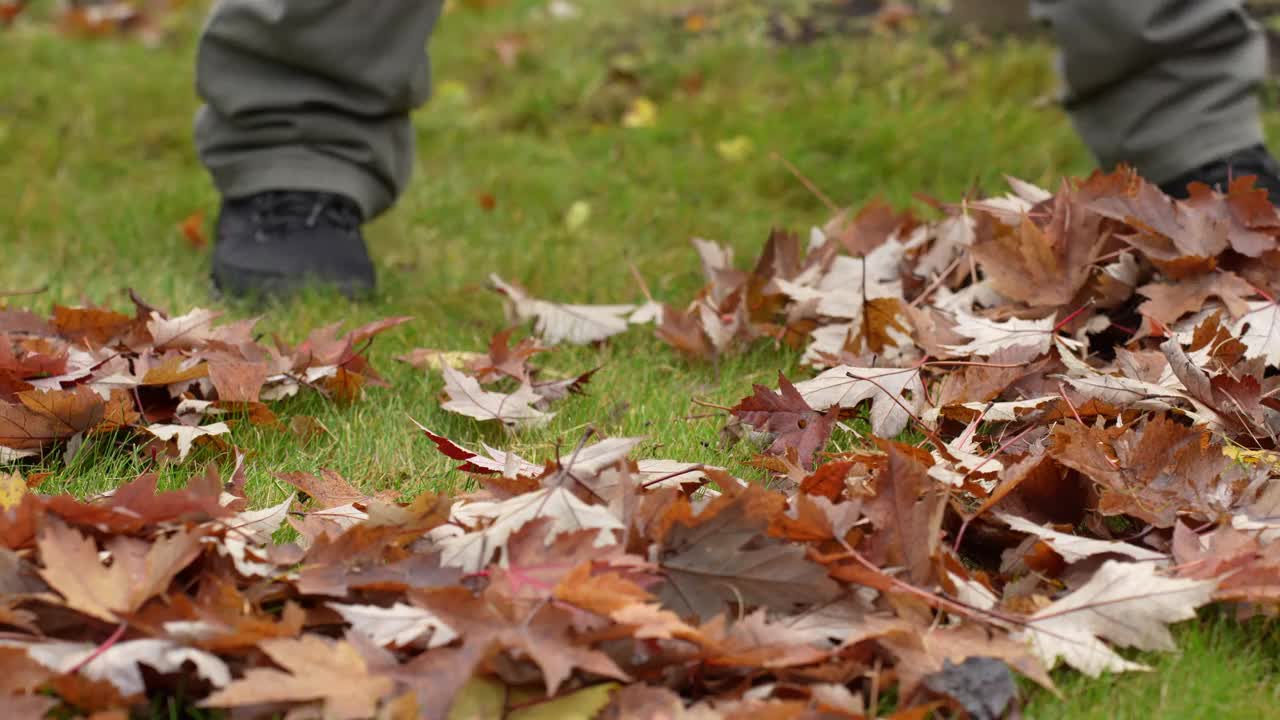 清理花园里的落叶视频素材