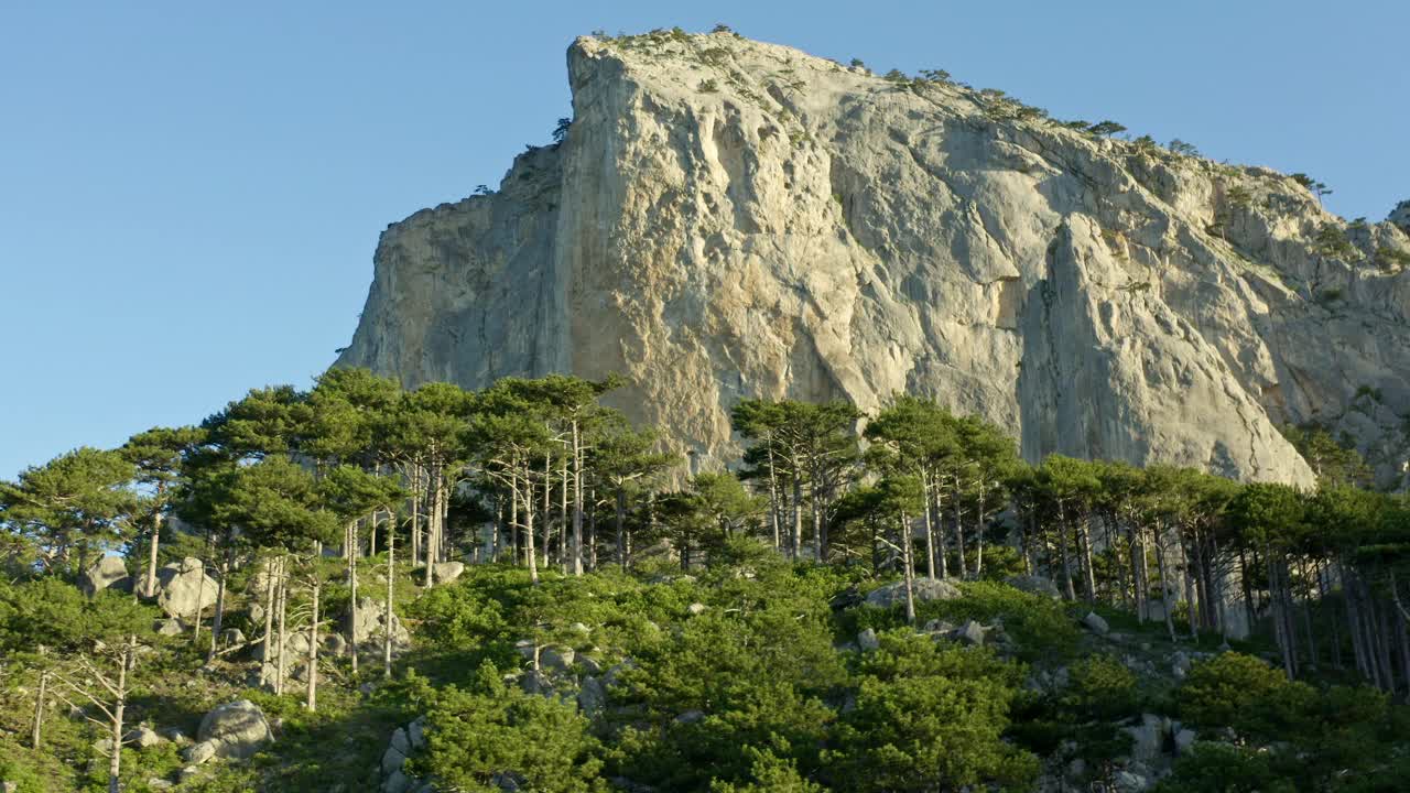 高耸于森林之上的雄伟山峰，拥抱着大自然的美丽视频素材