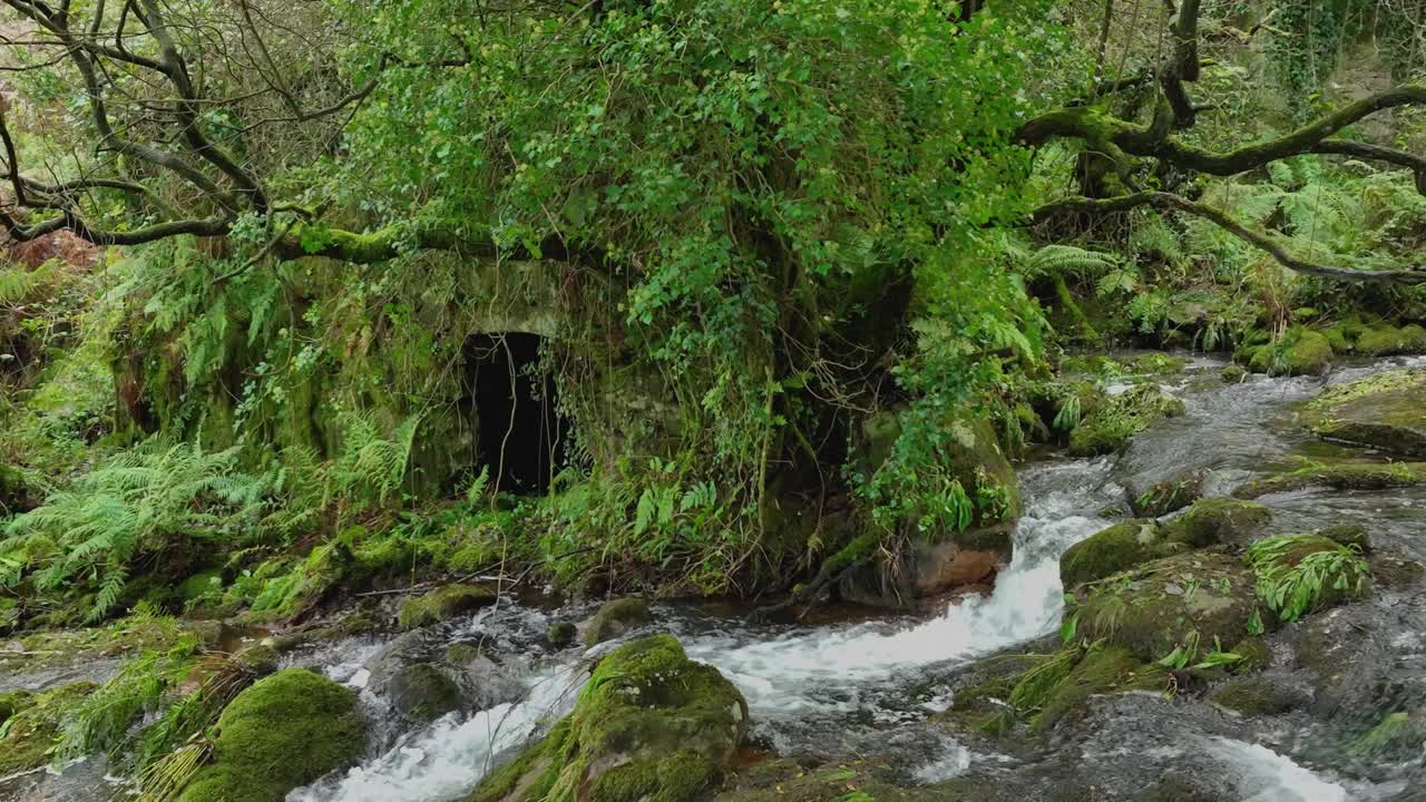 小溪冲在长满苔藓的岩石上，在西班牙拉科鲁尼亚的Río Parga。慢动作视频素材