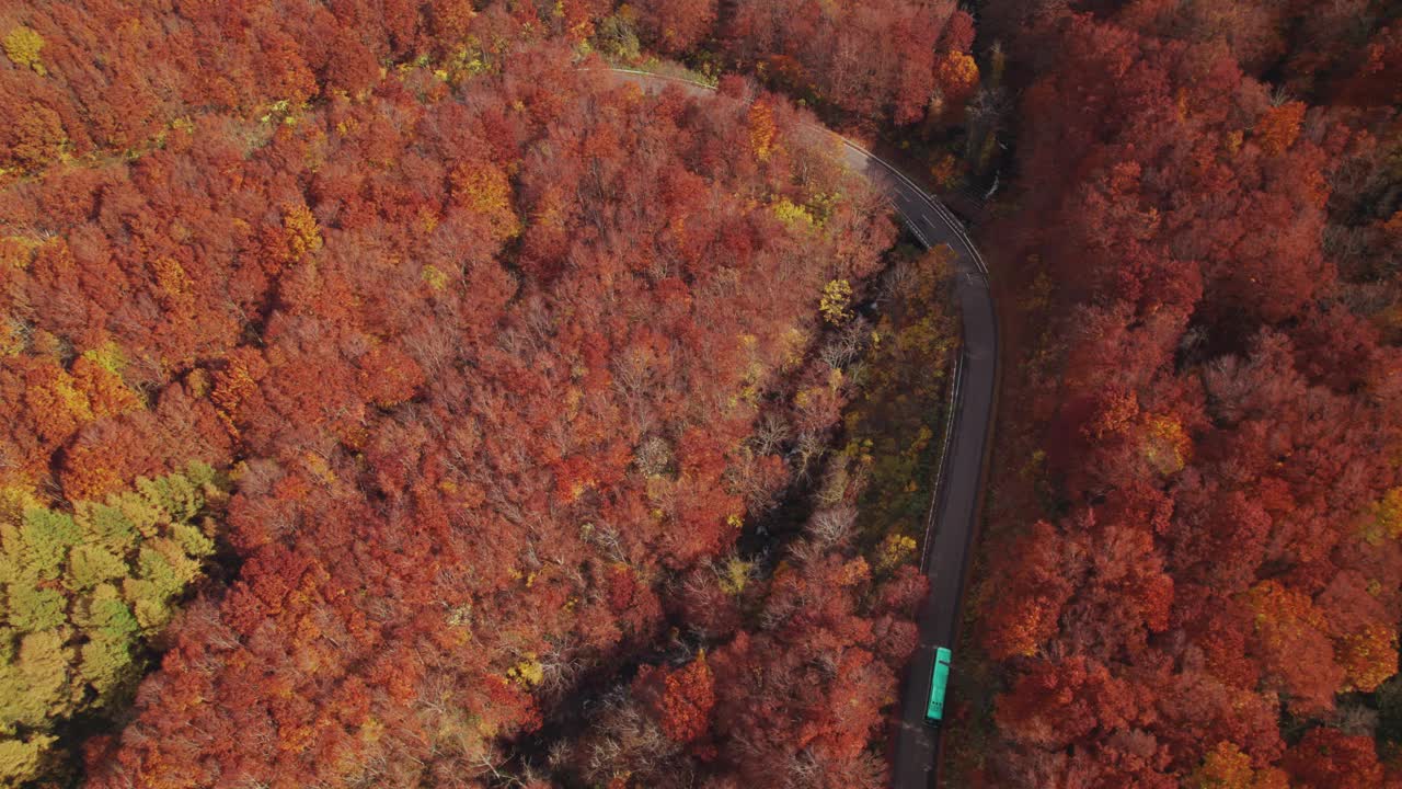 航拍图:汽车行驶在弯弯曲曲的道路上，周围是秋天的红色和橙色树叶视频素材