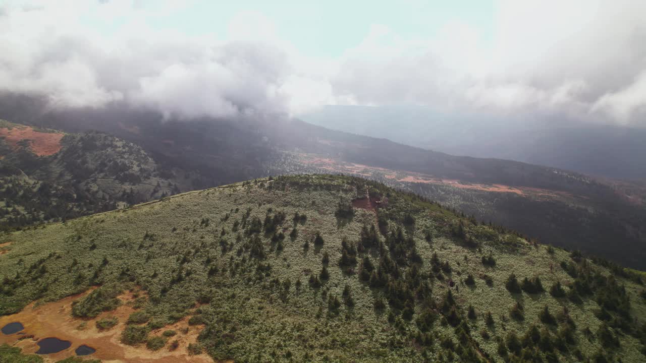 鸟瞰图:飞越拍摄的青山在日本与灌木，树叶和松树视频素材