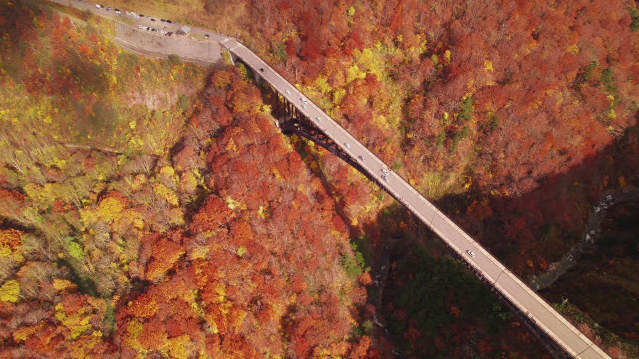 鸟瞰图:许多汽车穿过五彩缤纷的红色和橙色秋叶，穿过山桥进行公路旅行。很多人旅行是为了观赏大自然，在大自然中放松，享受这个季节视频素材