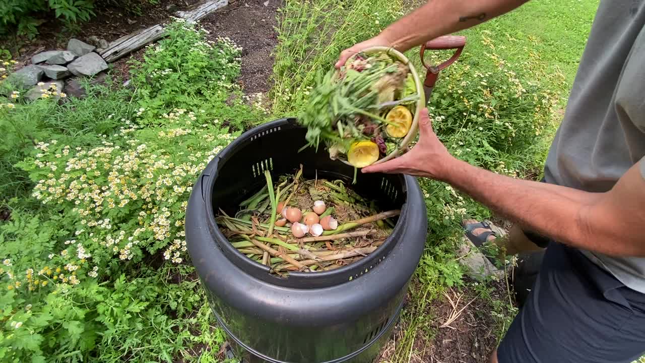 夏天，一名男子在自家花园里把碗里的废料扔进堆肥机视频下载