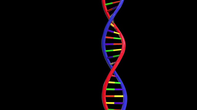 彩色DNA结构可循环全高清视频下载