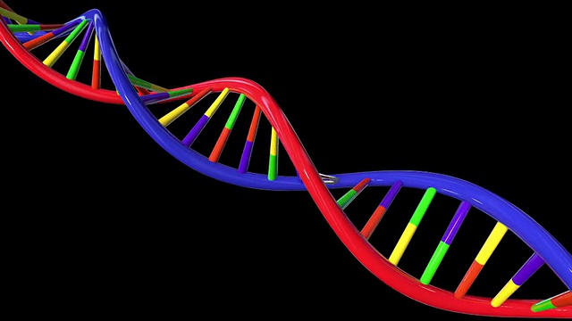 彩色DNA结构可循环全高清视频下载