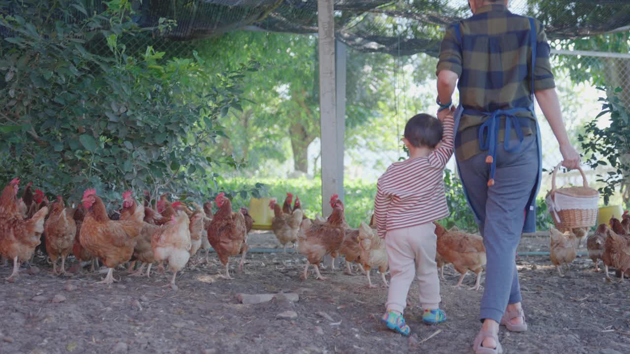 幸福的家庭，亚洲农民妈妈和小儿子在养鸡场分享快乐的时刻。视频素材