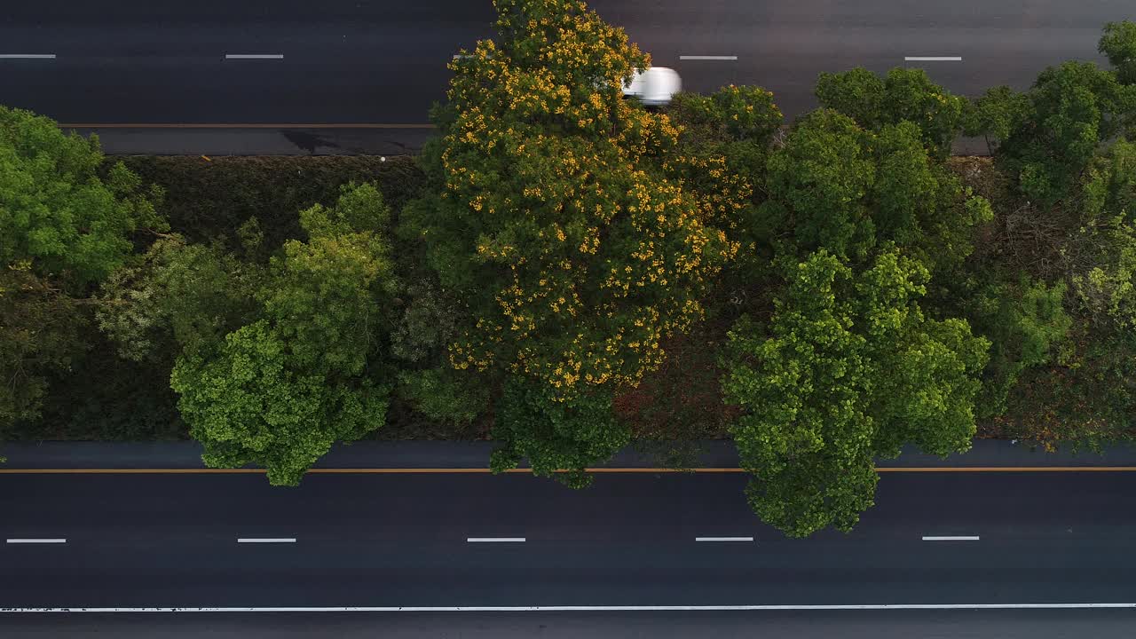 清晨用车辆在森林中移动鸟瞰乡村交通道路视频素材