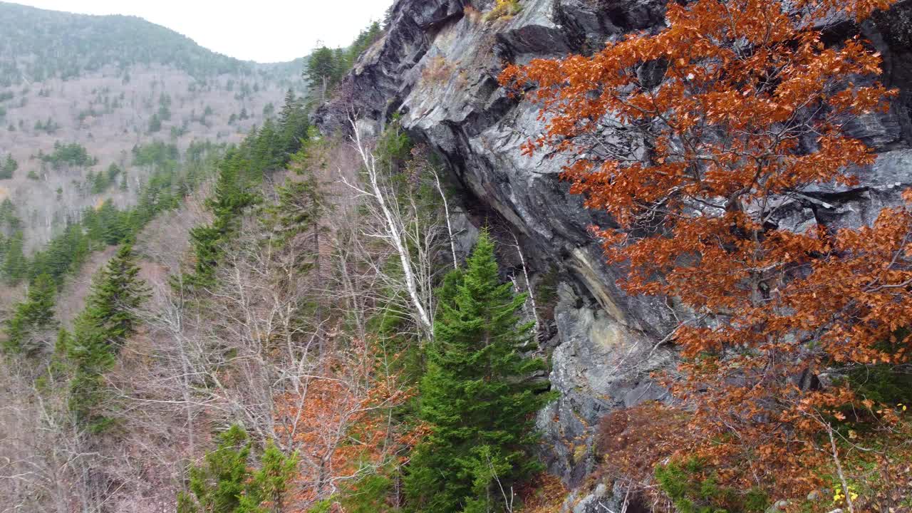 美国新罕布什尔州华盛顿山州立公园，山坡上的悬岩悬崖，背景是小雪中的松树林视频素材